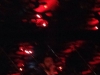 [photo]