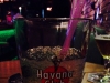 [photo]