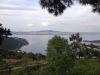 [photo]