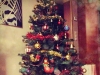 [photo]